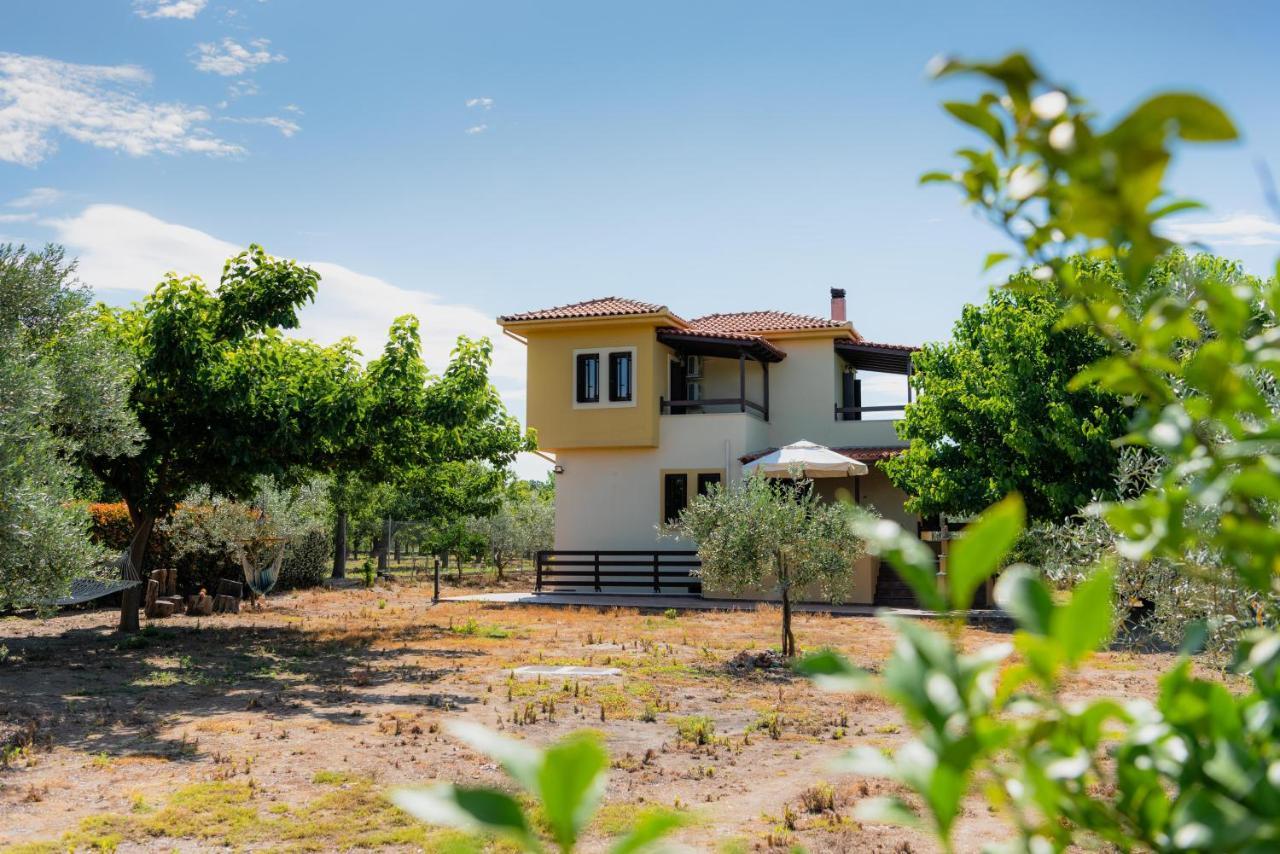 Karavos Grove Villa Kato Lekhonia Ngoại thất bức ảnh